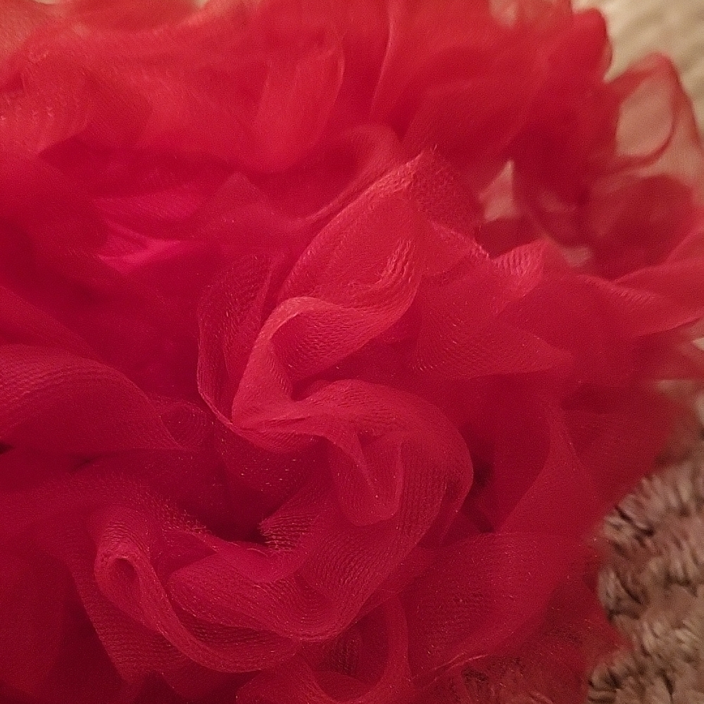 Pawpatu Red Ruffled Dog Dress - Picture 4 of 5